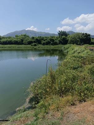 A body of water with bushes and trees

Description automatically generated