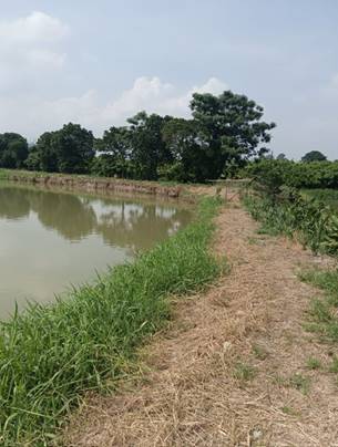 A body of water with grass and trees

Description automatically generated